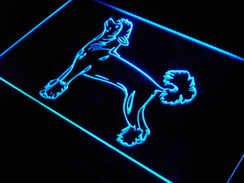 Chinese Crested Dog Logo Pet Neon Light Sign